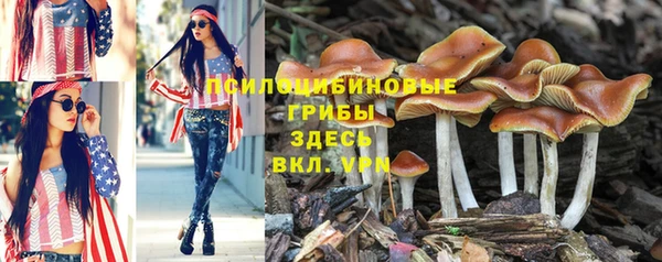 марихуана Баксан