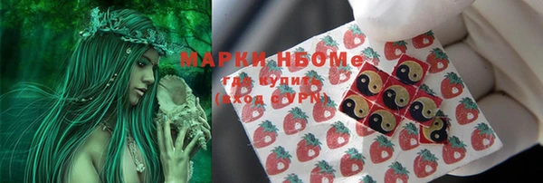 СК Арсеньев