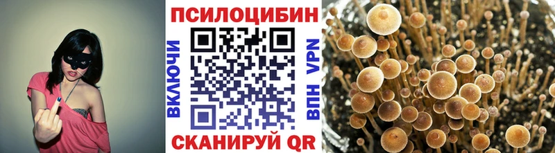 Купить закладки  Курганинск  Псилоцибиновые грибы мухоморы 